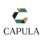 Dai-ichi Life to Boost Stake in UK Hedge Fund Capula to 15% - preview image